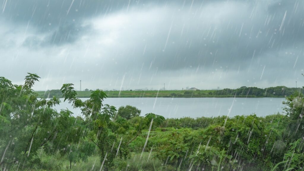 【鹿児島】台風などの災害に強い家づくりの秘訣とは